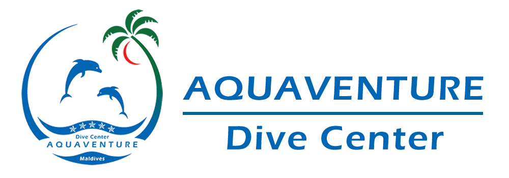 15% DISCOUNT - 14 Nights Fullboard & 12 Days Diving